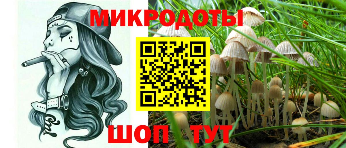 Галлюциногенные грибы GOLDEN TEACHER  где продают   Алатырь  Вход с VPN 